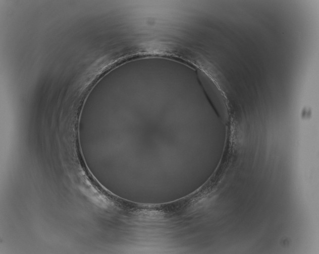 X0000113270577200909171716