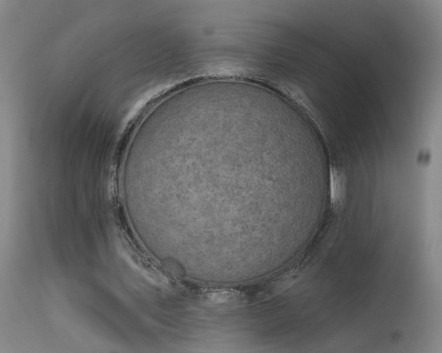 X0000113270579200909171715