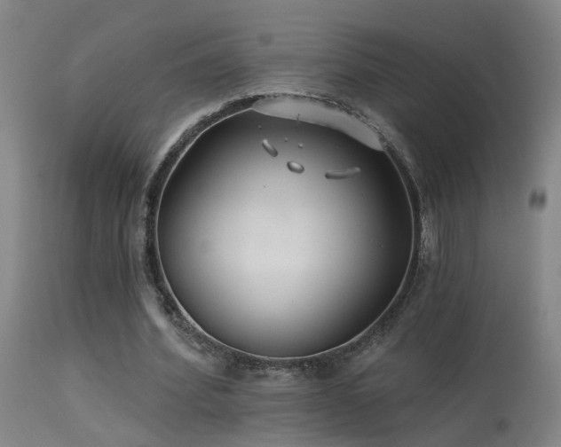 X0000113270580200909171715