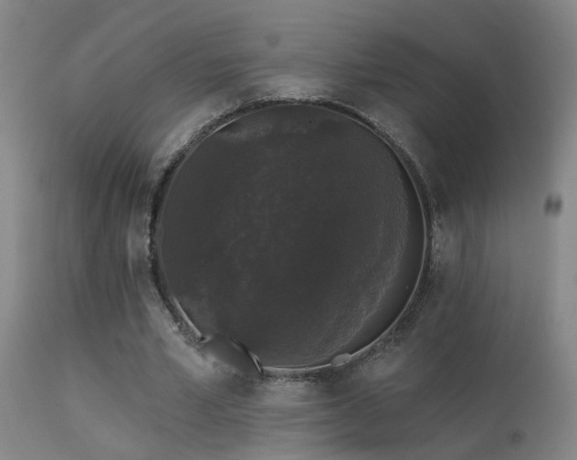 X0000113270581200909171715