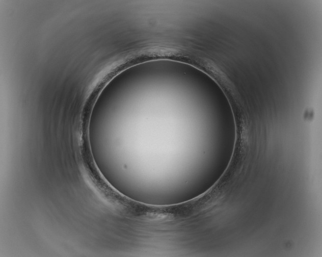 X0000113270582200909171715