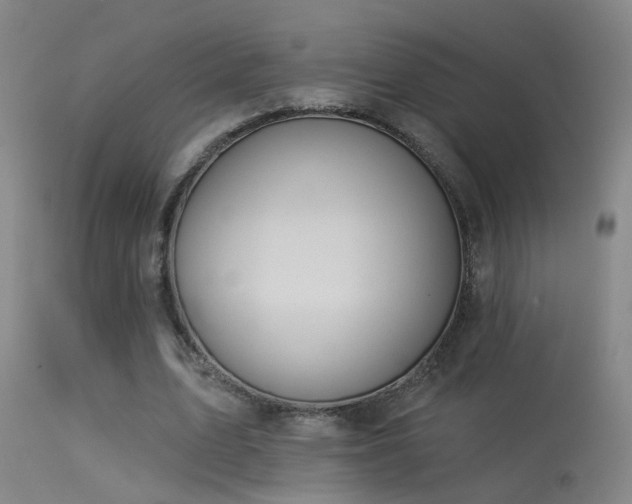 X0000113270583200909171715