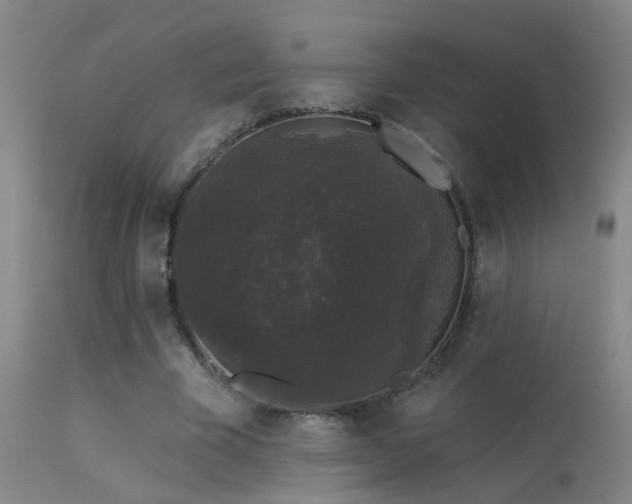 X0000113270585200909171715
