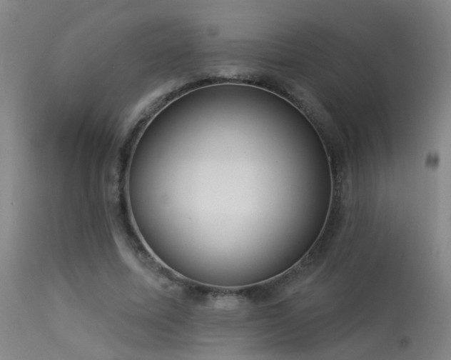 X0000113270587200909171715