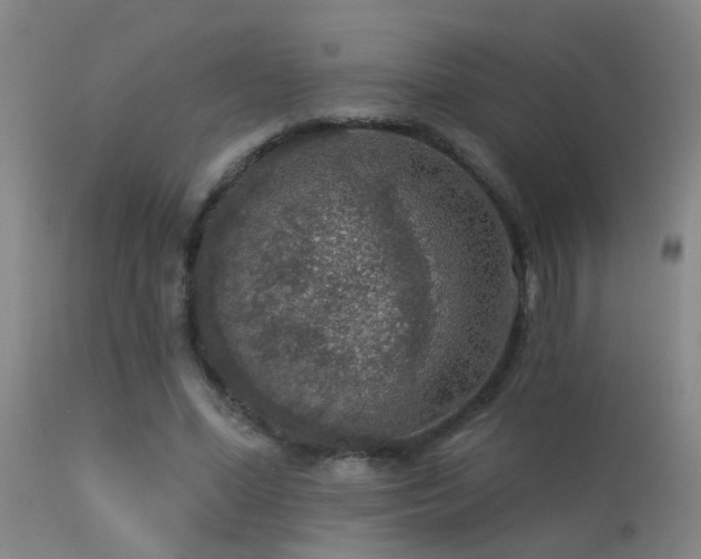 X0000113270588200909171715