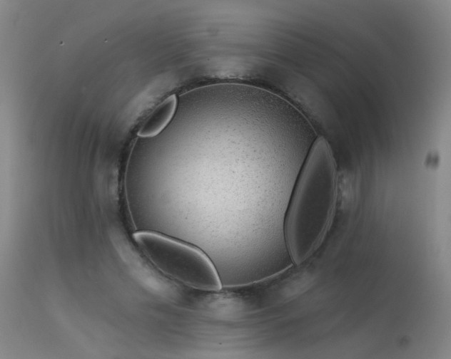 X0000113270589200909171715