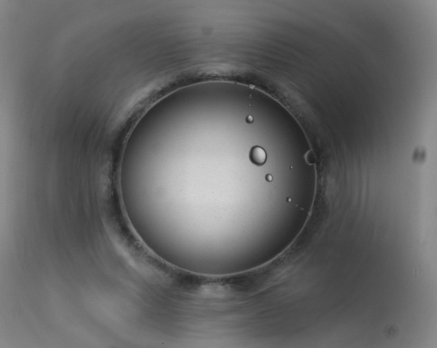 X0000113270591200909171715