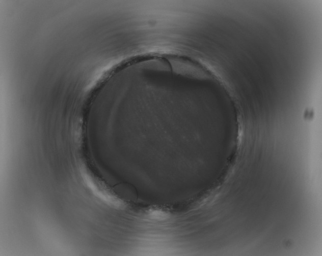X0000113270592200909171715
