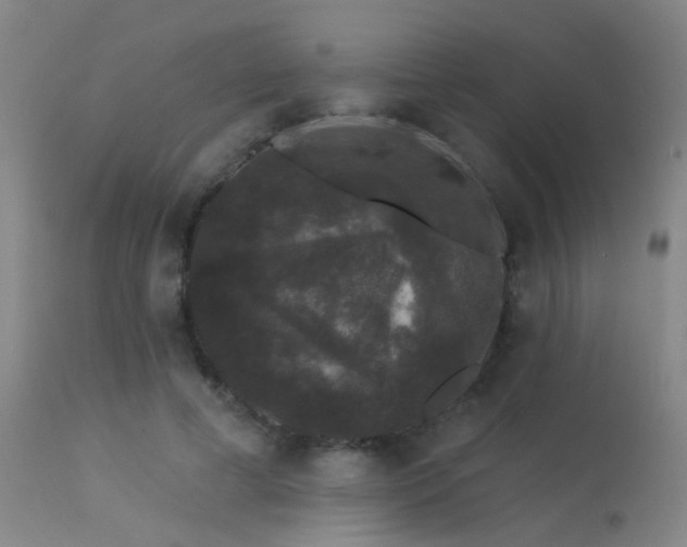 X0000113270593200909171715