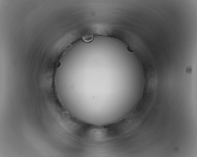 X0000113270595200909171715