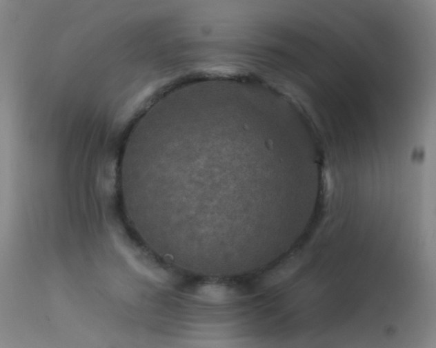 X0000113270596200909171715