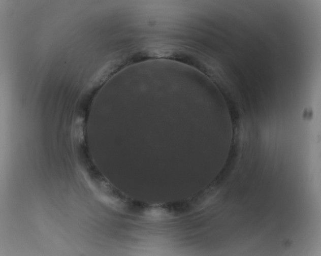 X0000113270598200909171715
