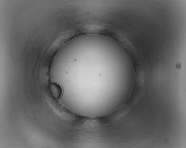 X0000113270599200909171715