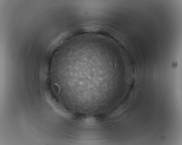 X0000113270600200909171715