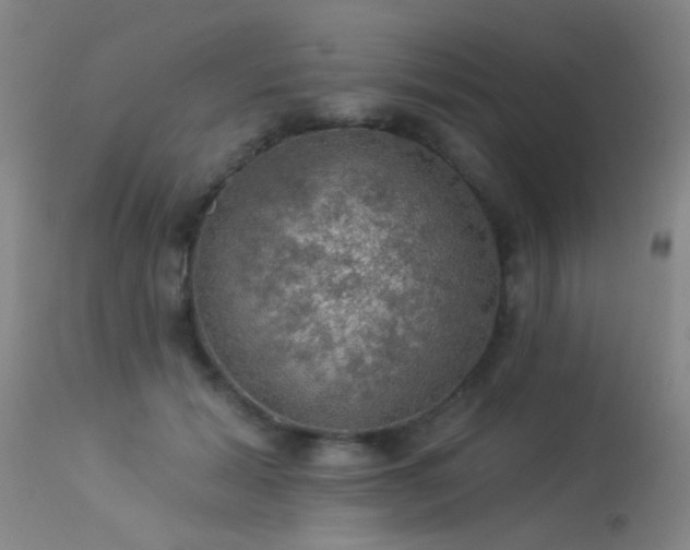 X0000113270605200909171715