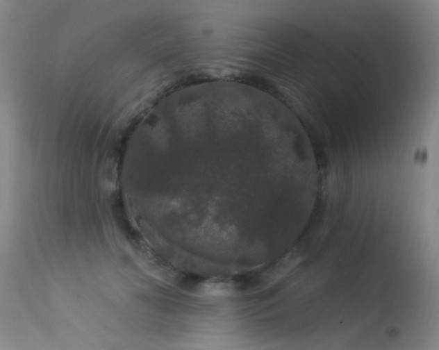 X0000113270606200909171715