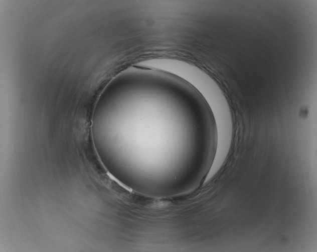 X0000113270609200909171715