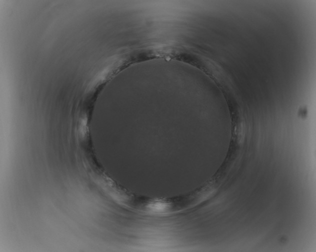 X0000113270610200909171715