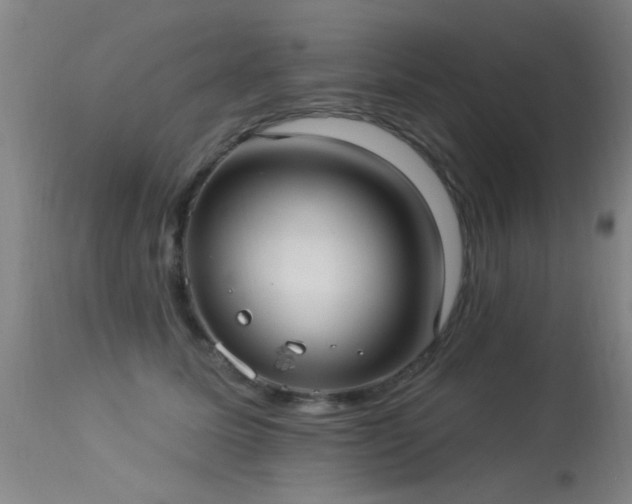 X0000113270611200909171715
