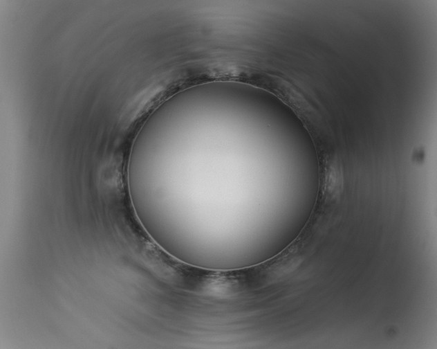 X0000113270616200909171715
