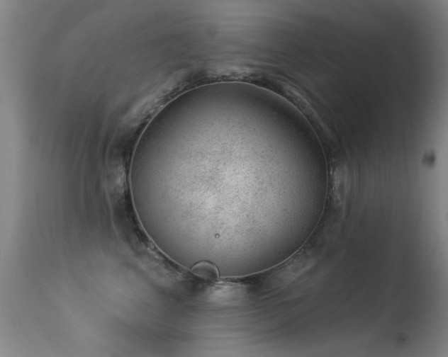 X0000113270617200909171715