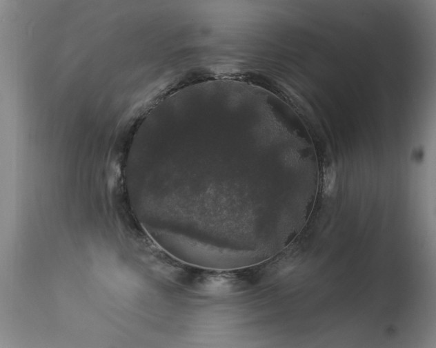 X0000113270618200909171715