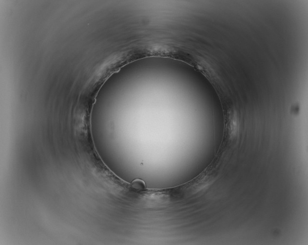 X0000113270619200909171715