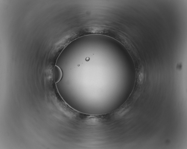 X0000113270620200909171715