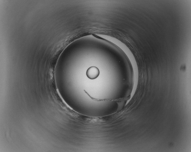 X0000113270621200909171715