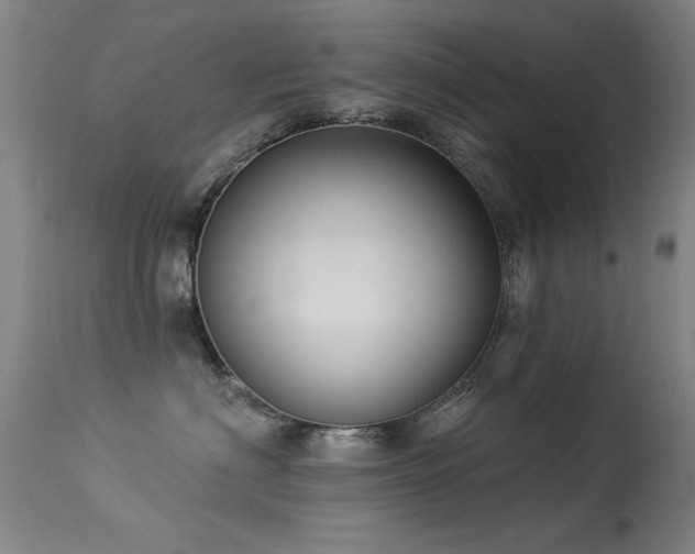 X0000113270622200909171715