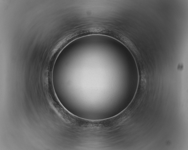 X0000113270626200909171714
