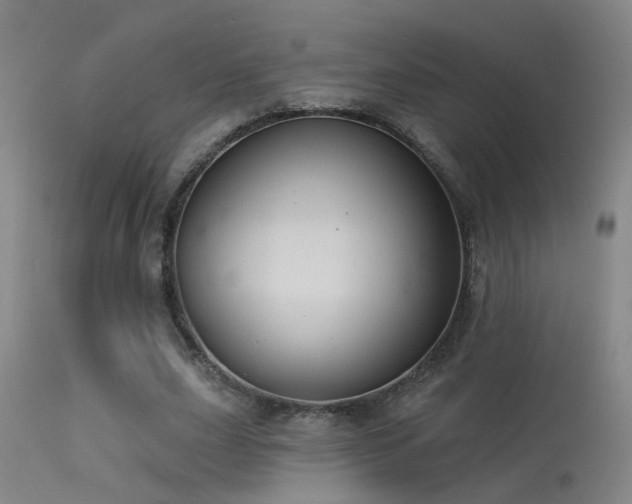 X0000113270631200909171714