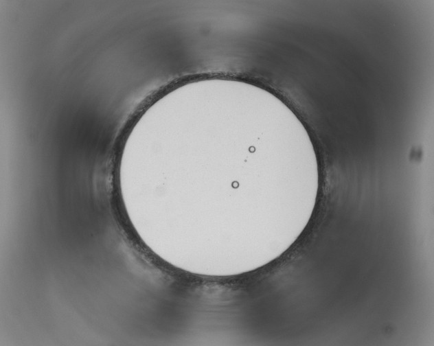X0000113270632200909171714
