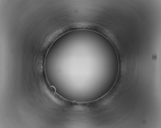 X0000113270633200909171714