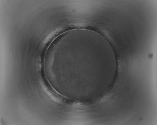 X0000113270634200909171714