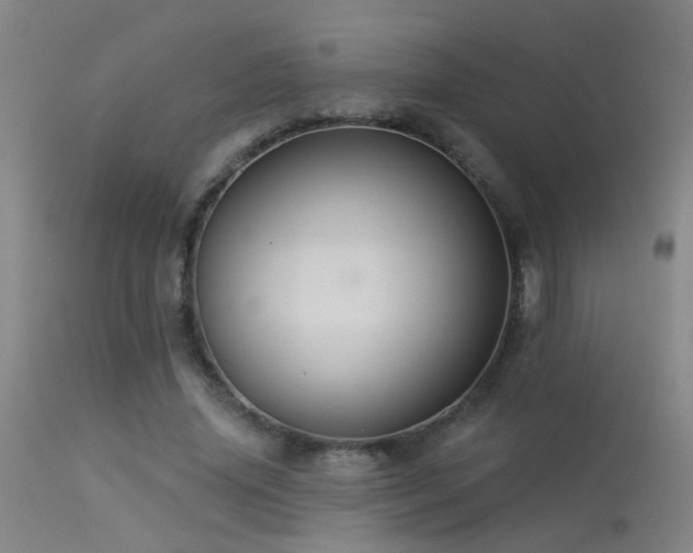 X0000113270636200909171714