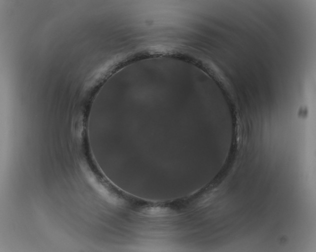 X0000113270637200909171714