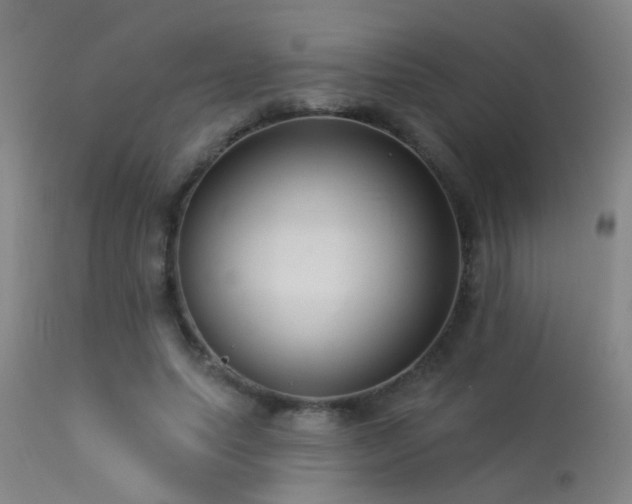 X0000113270639200909171714