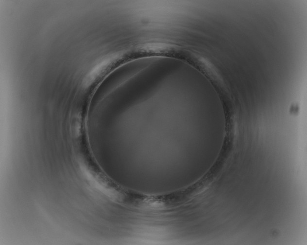 X0000113270640200909171714