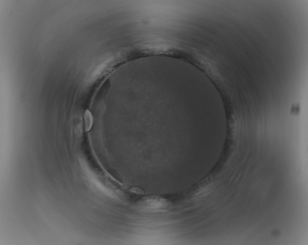 X0000113270642200909171714