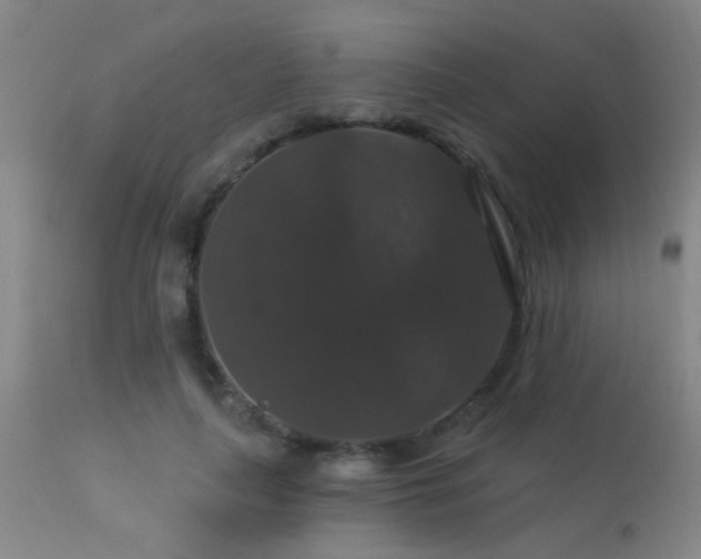 X0000113270643200909171714