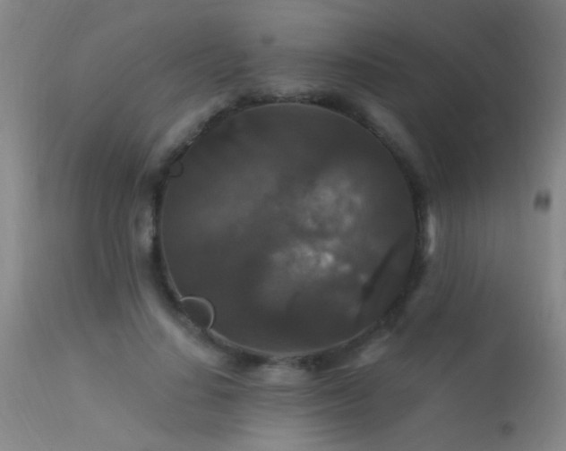 X0000113270644200909171714
