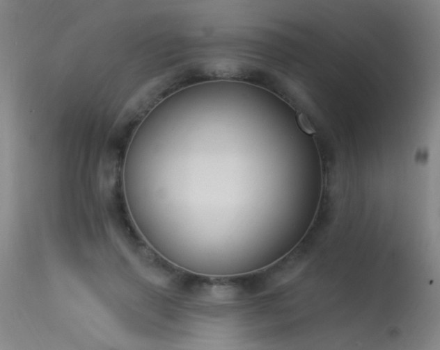 X0000113270645200909171714