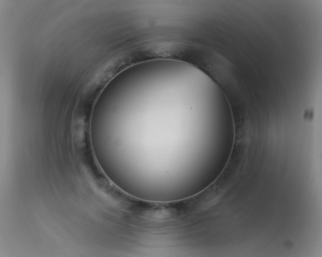 X0000113270646200909171715