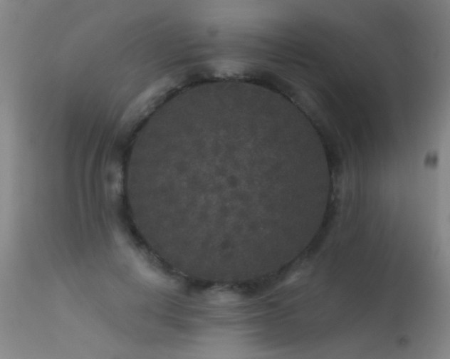 X0000113270648200909171715