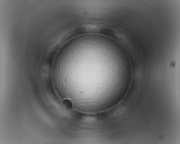 X0000113270649200909171715