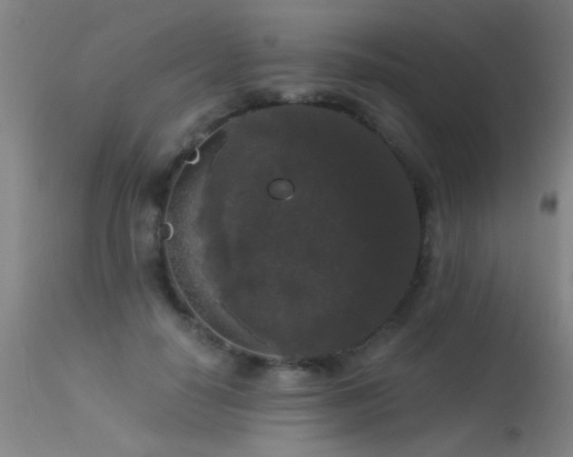 X0000113270650200909171715