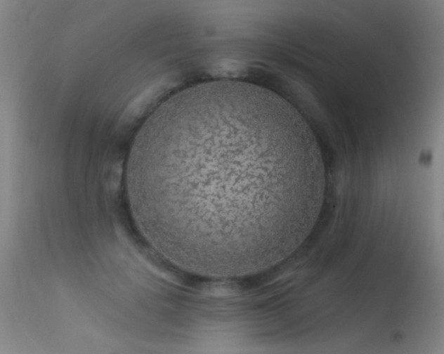 X0000113270652200909171715