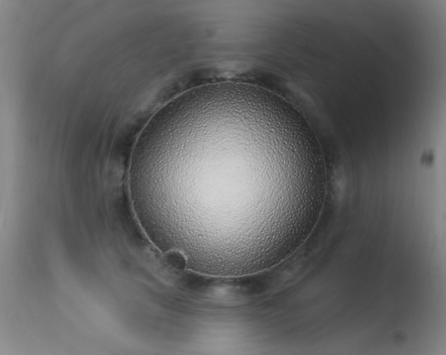 X0000113270657200909171715