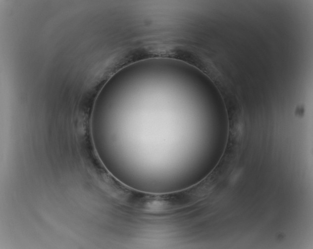 X0000113270658200909171715